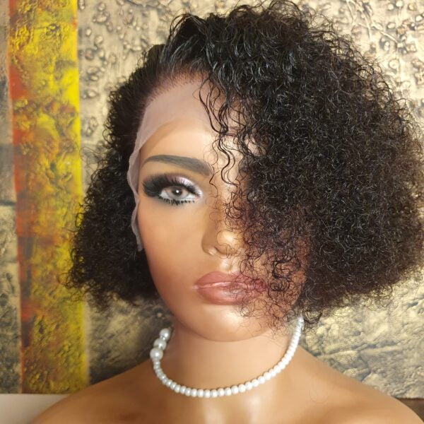 Kinky Curly Lace Front Human Hair Wig 10 Inch