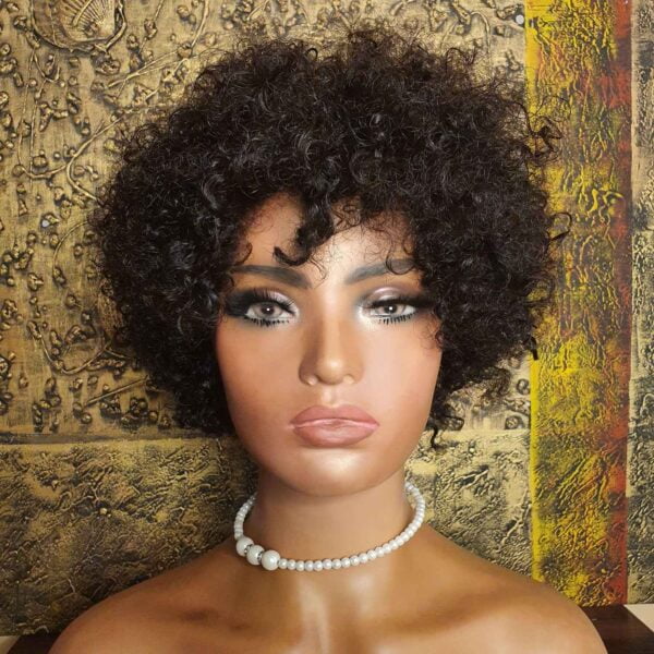 human hair afro wig