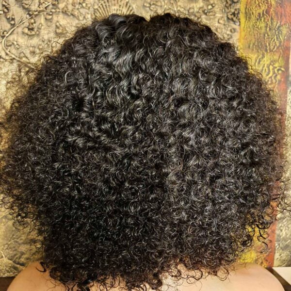 Kinky Curly Lace Front Human Hair Wig 14 Inch