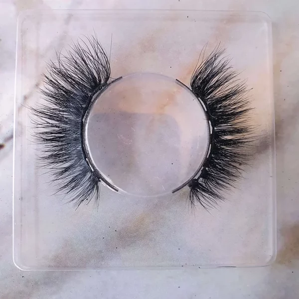 Aza Magnetic Lashes