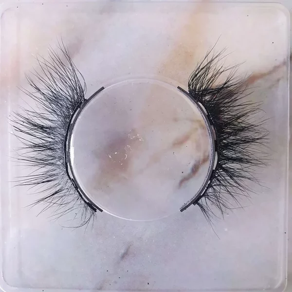 Aivanna Magnetic Lashes