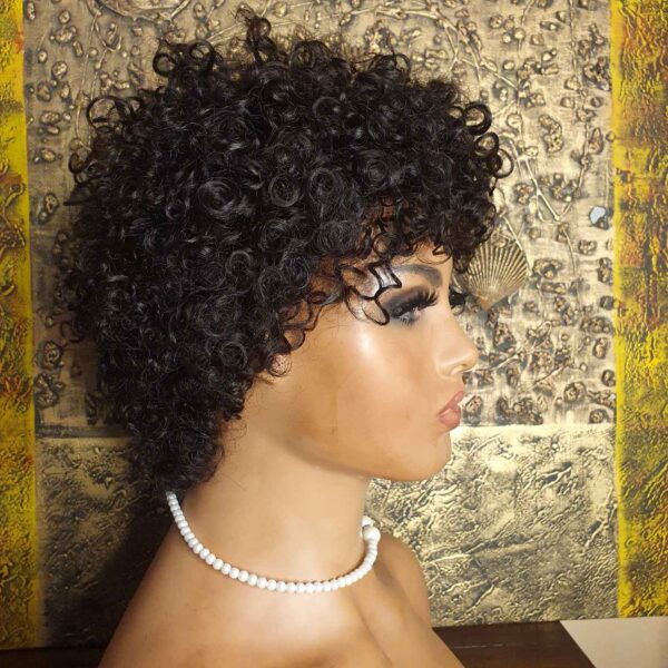 Short Human Hair Afro Wig - Image 4