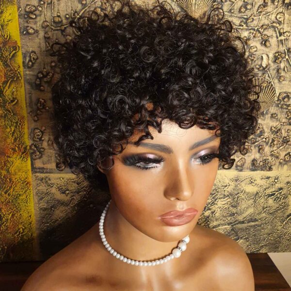 Short Human Hair Afro