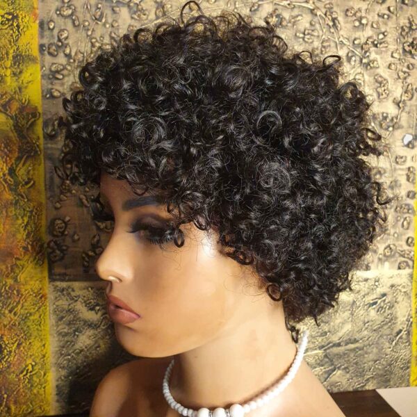 Short Human Hair Afro Wig - Image 2