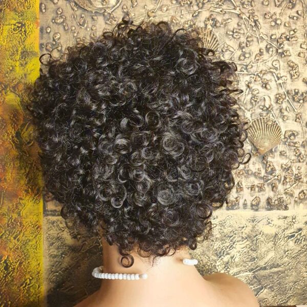 Short Human Hair Afro